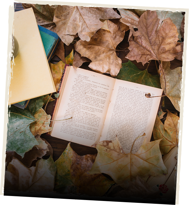 An open book resting among autumn leaves